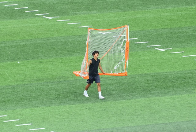 稳定了
